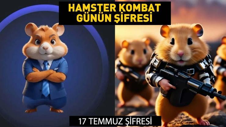HAMSTER KOMBAT GÜNLÜK ŞİFRE 17 TEMMUZ 2024: Hamster Kombat günlük kombo kartları (Nasıl Açılır, Bulunur ve Yapılır Detaylı Anlatım)