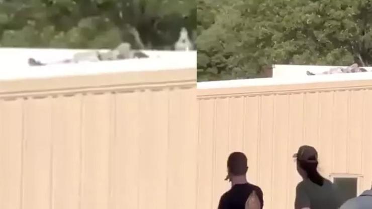 Trump’a suikast girişiminde bulunan saldırgan etkisiz hale getirildi