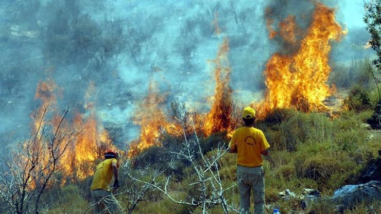 Dikkat! OGM’den 12 ile orman yangını uyarısı