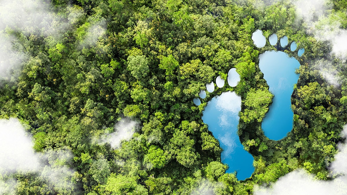 Karbon ayak izi nedir, nasıl hesaplanır? Karbon ayak izini azaltmak için yapılması gerekenler…