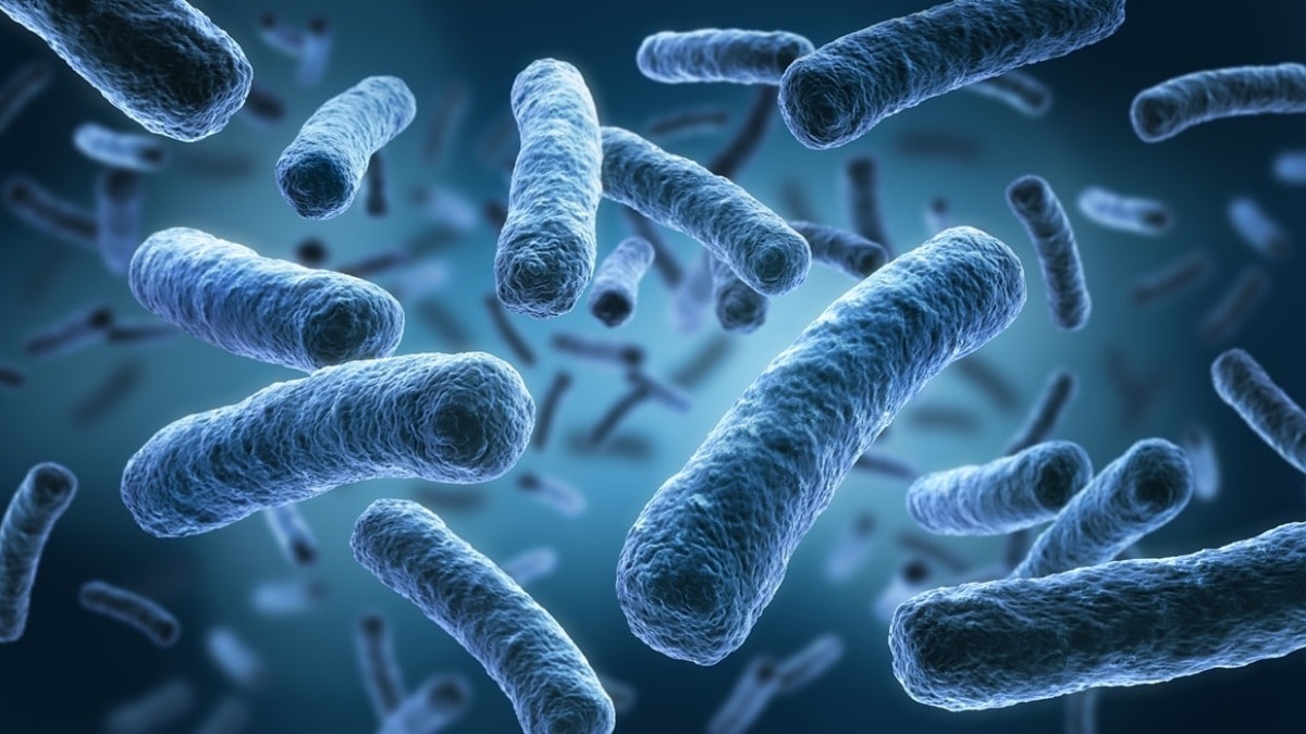 Hastanelerde ölümlerin bir numaralı nedeni sepsis