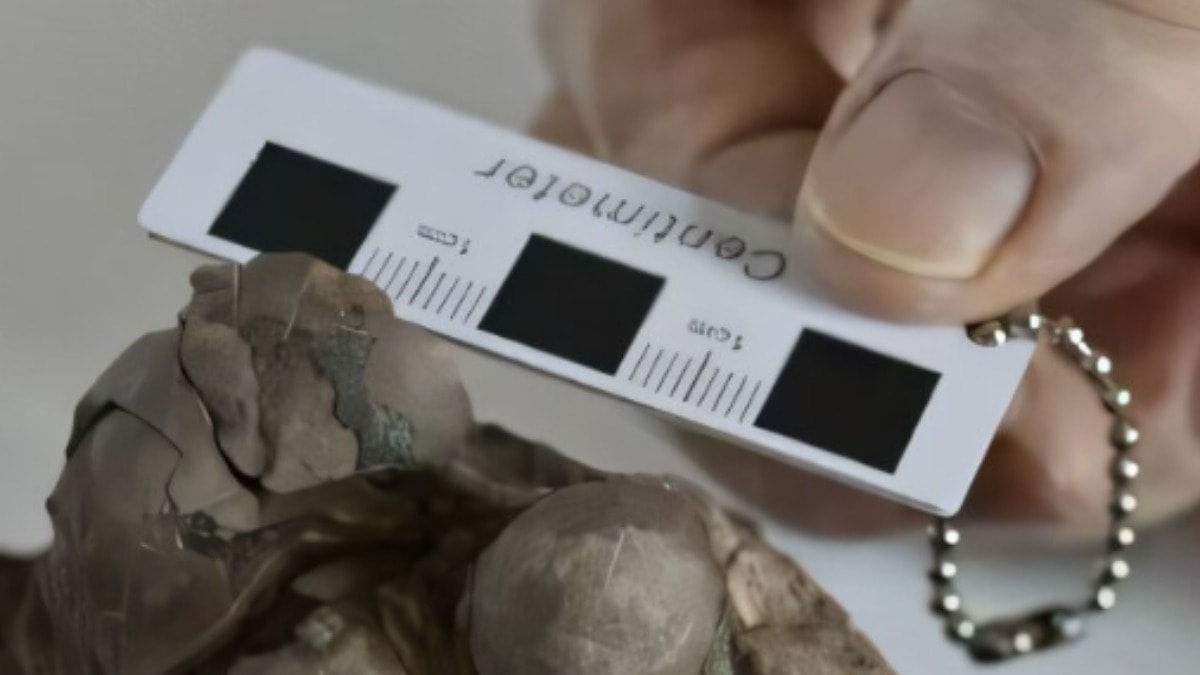 Çin’de eşsiz keşif: Tam 80 milyon yıllık