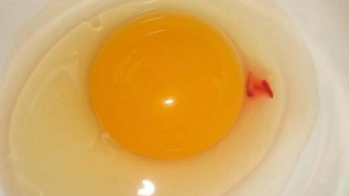 Sarısında kırmızı leke olan yumurta yenir mi? Doğmamış civciv yumurtası olduğu düşünülüyordu! İşte cevabı