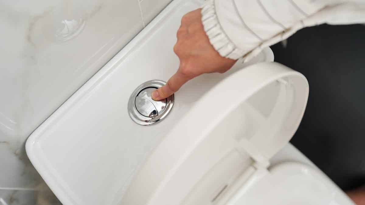 “Hayalet dışkı" en sağlıklı sindirimi gösterir: İşte hayalet dışkının tipik özellikleri