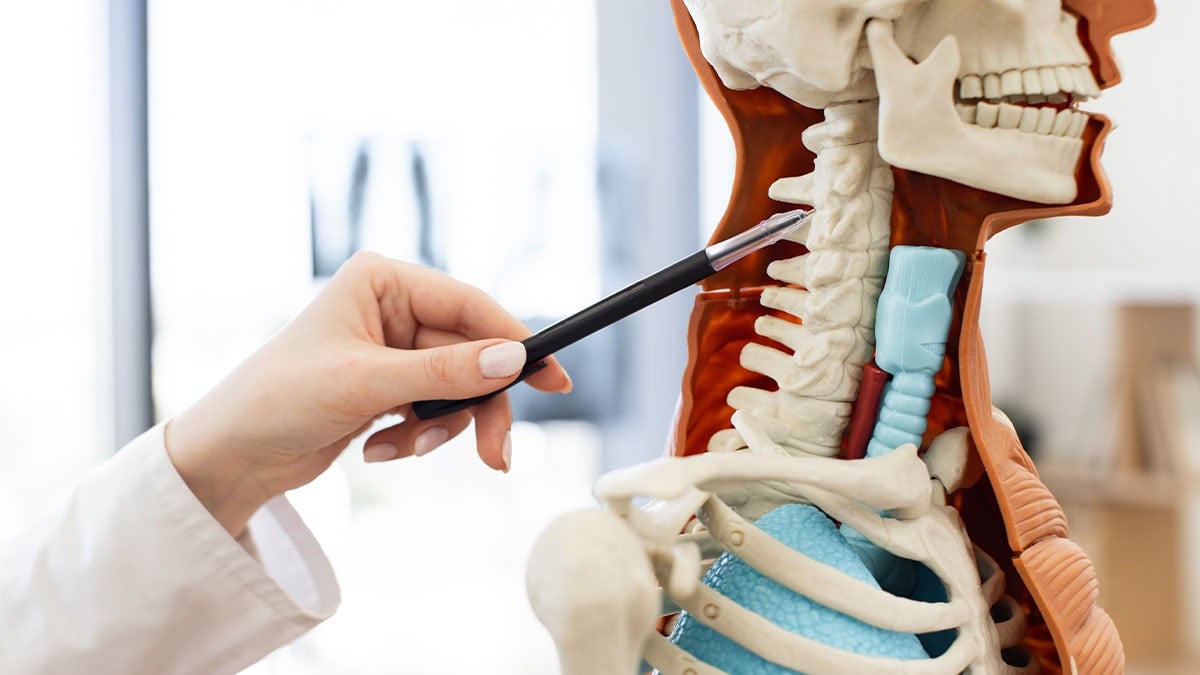 Bilim insanları vücuttaki gereksiz parçaları açıkladı: Liste şaşırtıcı