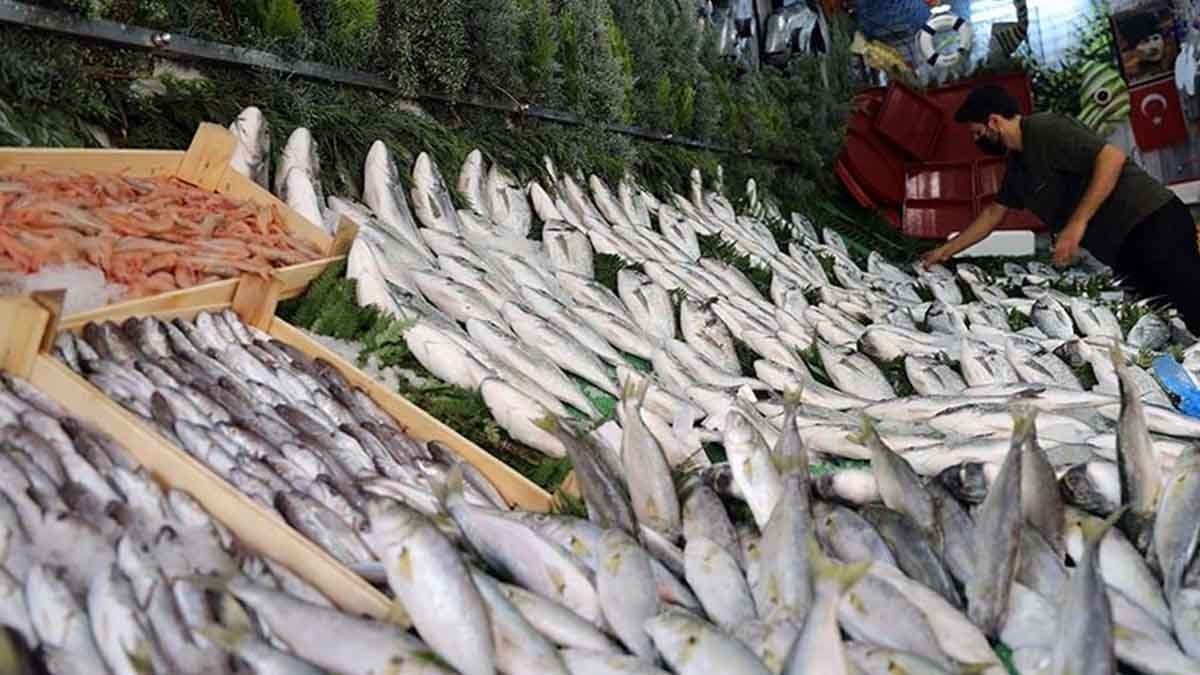 En çok tüketilen balıklardan biri ama yüksek CİVA içeriyor