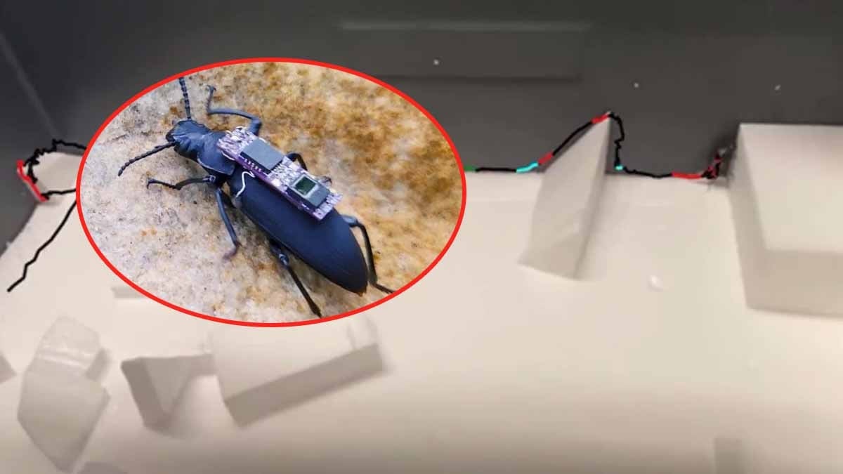 Adı ‘Zooborg’ ama ona ‘umut’ diyorlar! Depremde binlerce kişiyi kurtaracak