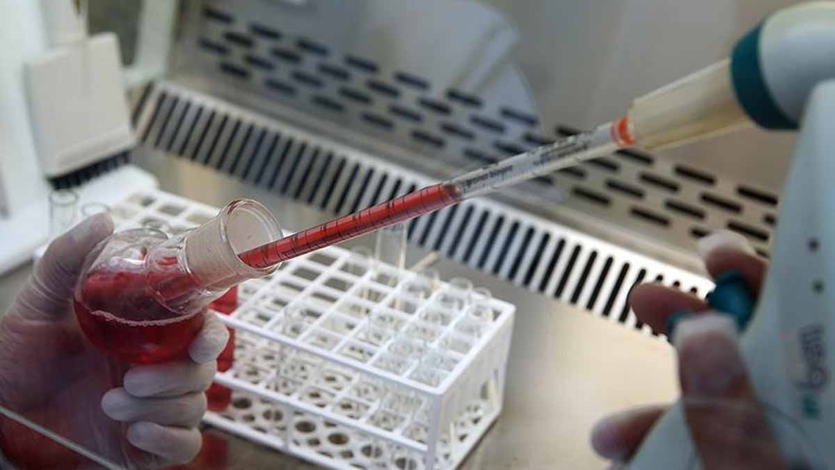 Bilim insanları yıllardır arıyordu: Yaşlanmaya direnen kan grubu tespit edildi