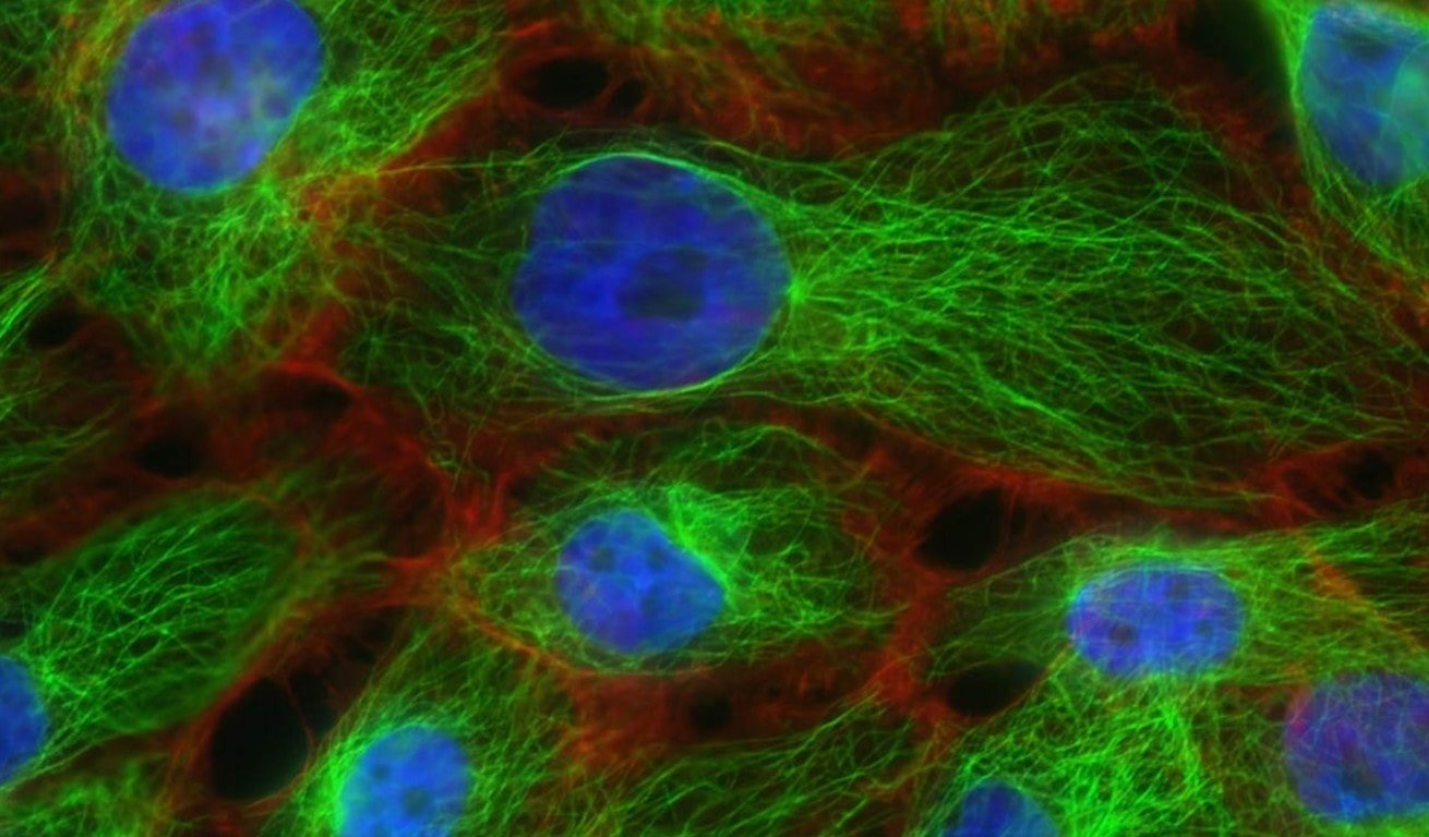 Boyut sınırını aşan ilk fotoğraf çekildi: İşte açtığı kapı…