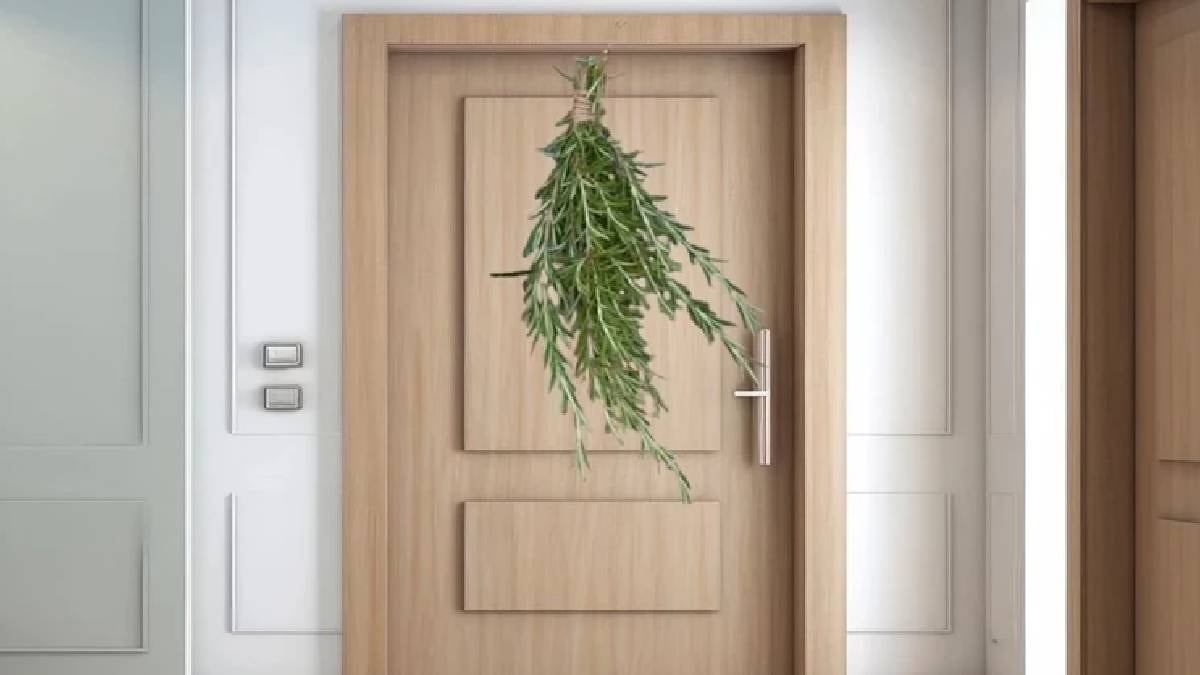 Kapıya 2 dal biberiye asın o sorundan ömür boyu kurtulun