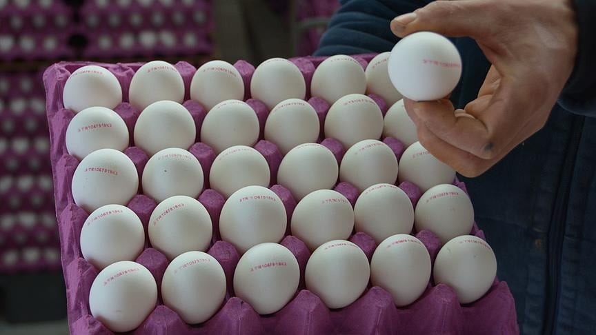 Yumurtada gizli bakteri tehlikesi: Bu ayrıntıya bakmadan sakın almayın