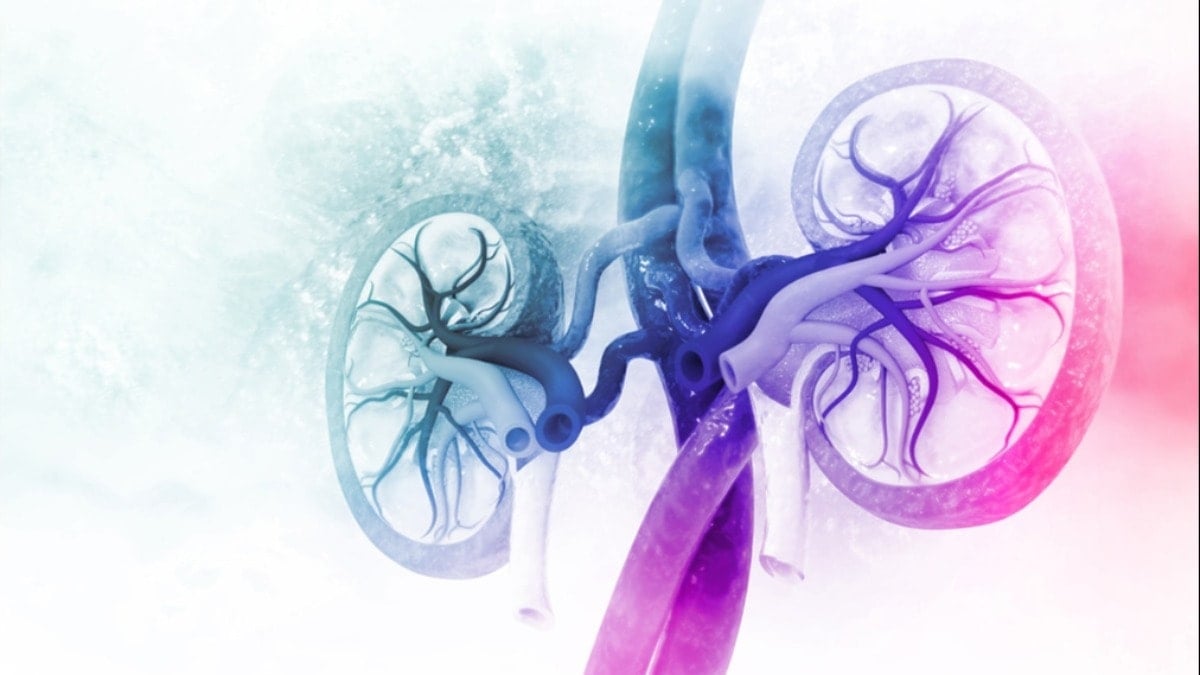 Böbreklerinizi böyle koruyun