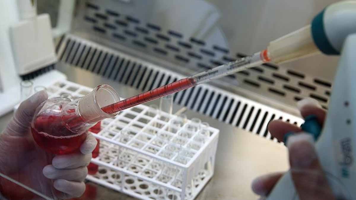 Dünyada sadece 43 kişide var! Hem paha biçilemez bir hazine hem de büyük bir risk: ‘Altın kan’