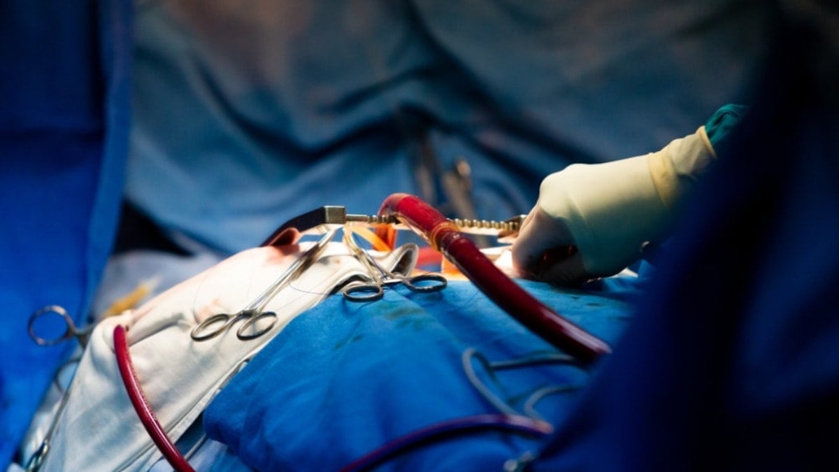 Organ naklinde çığır açacak gelişme! Bilim insanları böbreğin kan grubunu değiştirdi