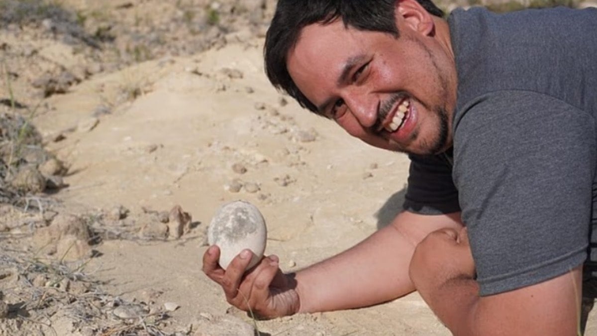 Sanki dün bırakılmış gibi… 70 milyon yıllık dinozor yumurtası bulundu